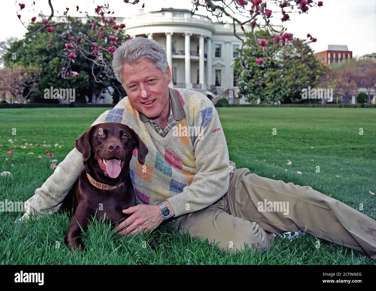 4/6/1999 - Photograph of President William Jefferson Clinton with Buddy the Dog Stock Photo