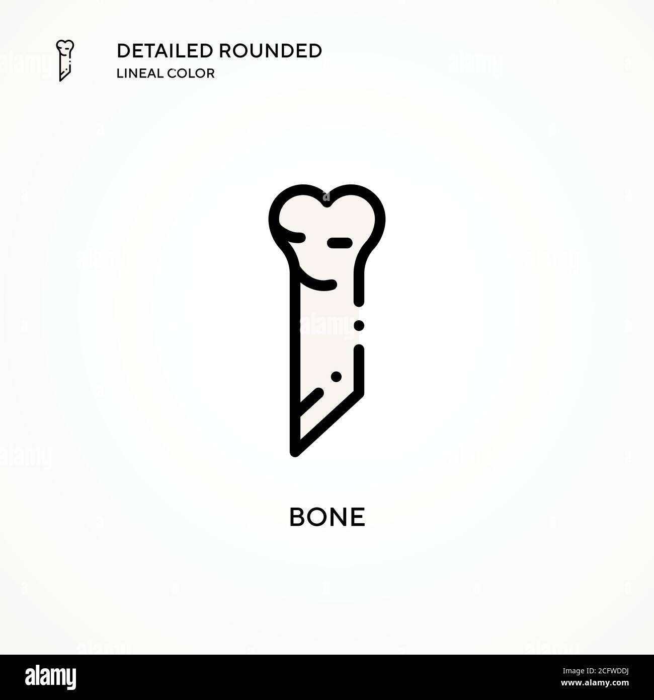 Anatomy calcium bone health vector osteoporosis nutrition hi-res stock ...