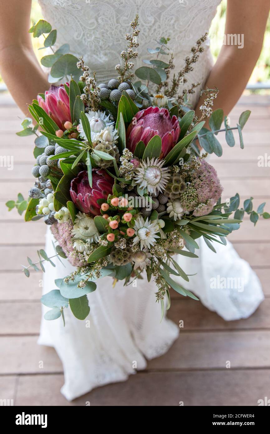 Bride holding bouquet of Australian native flowers Stock Photo