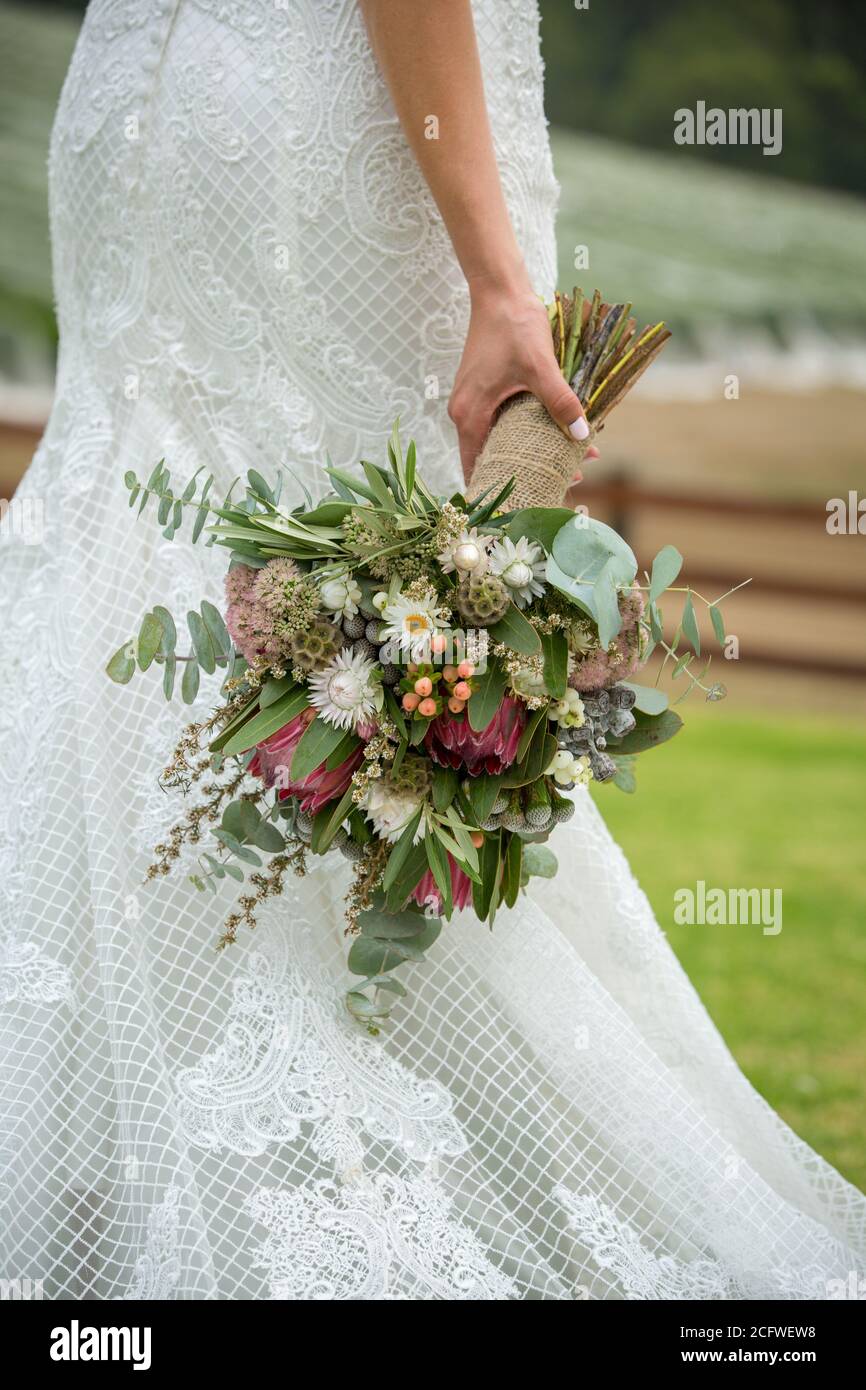 Australian flowers hires stock photography and images Alamy