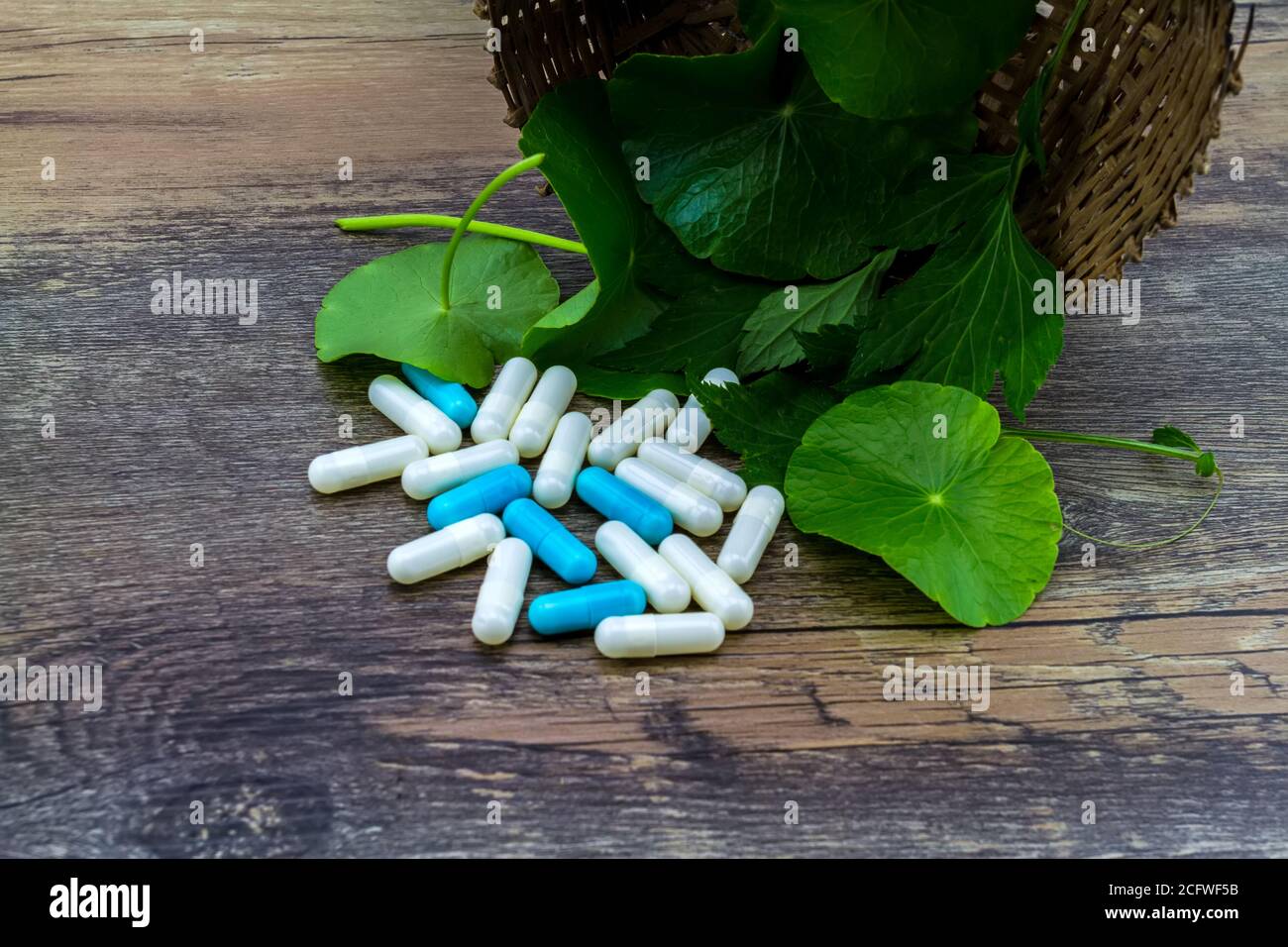 Colorful of pill and green leaf of White mugwort plant (Artemisia lactiflora) with Green Asiatic Pennywort (Centella asiatica ) in bamboo basket on gr Stock Photo