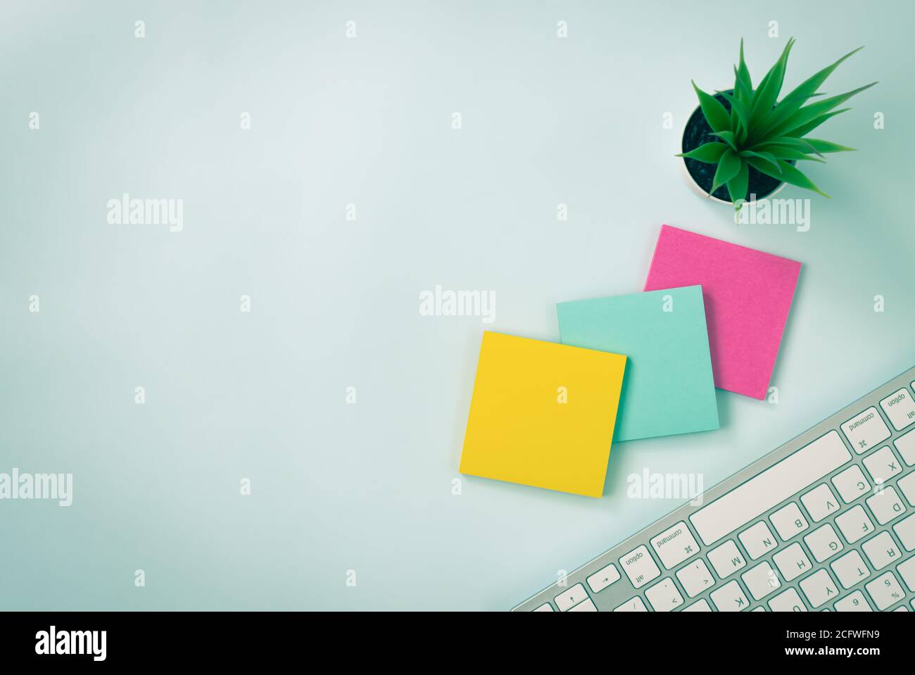 3 Sticky Note and Office Plants and Computer Keyboard on Modern Creative Office Desk or Office Table on Top View or Flat Lay. Blue Workspace Minimalis Stock Photo