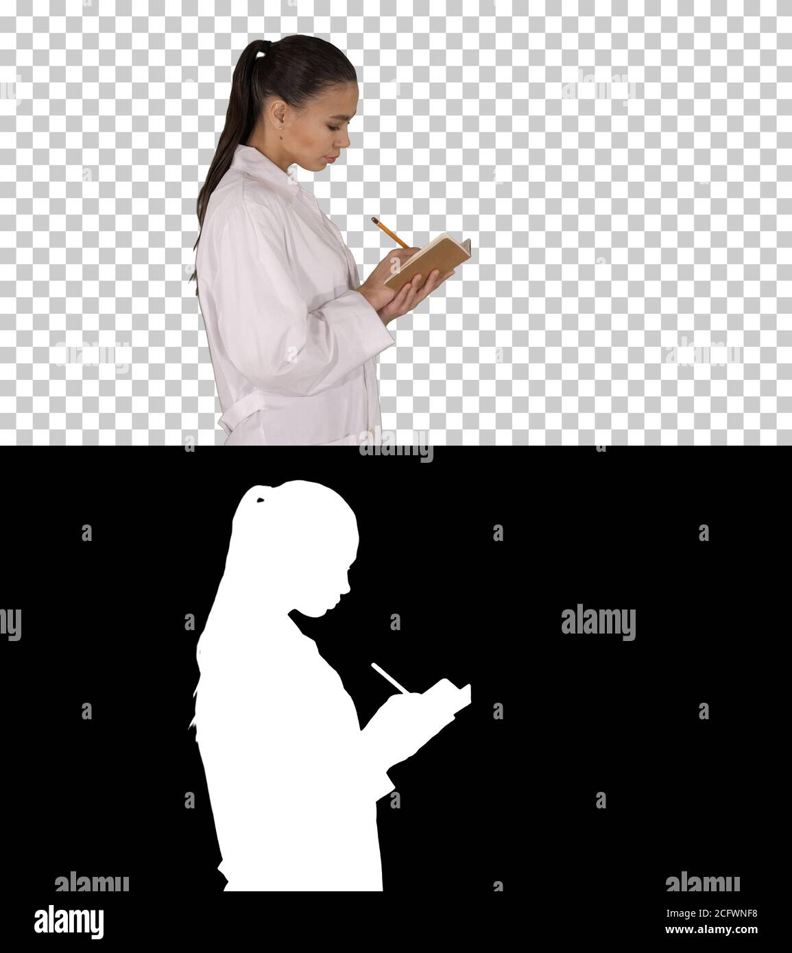 Successful medical doctors making notes while walking, Alpha Channel Stock Photo