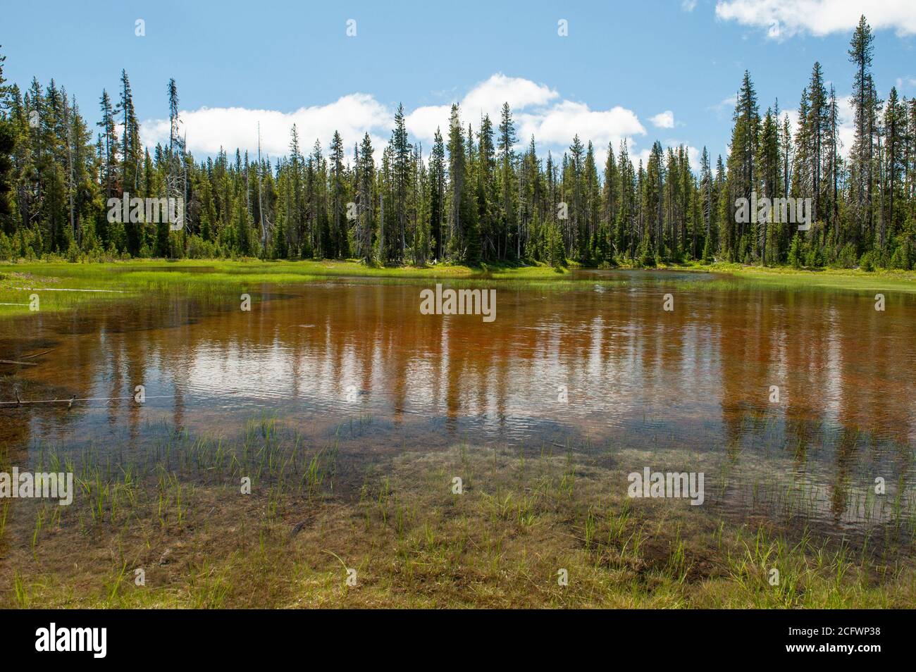 A flooded bend in Summit Creek, not far from its source at Summit Lake, Oregon. Stock Photo