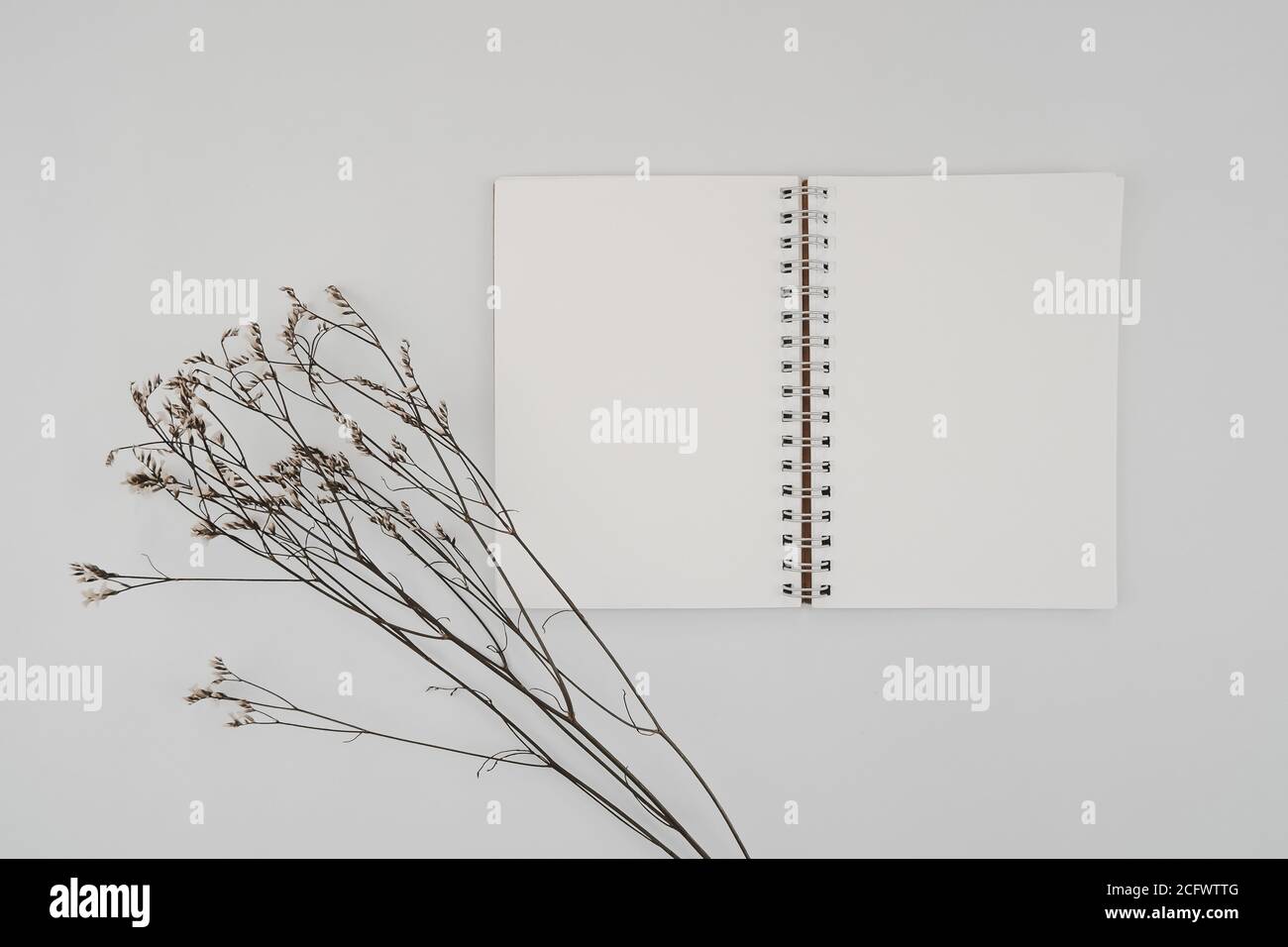Blank spiral bound sketchbook or journal diary with Limonium dry flower. Mock-up of stationary. Top view of empty drawing book on white background. Fl Stock Photo