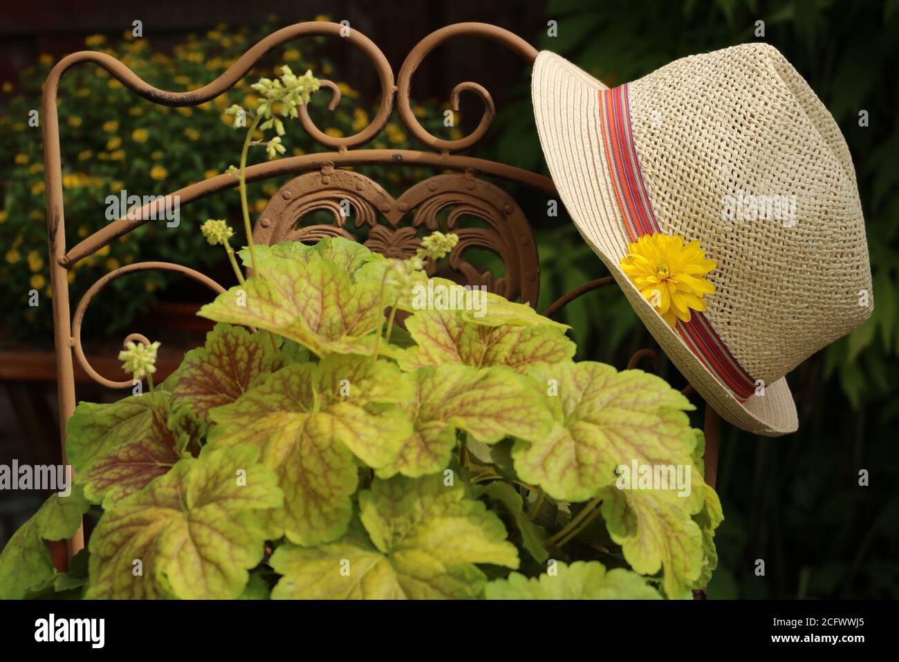summer decoration with sun hat, rudbeckia flower and heuchera Stock Photo
