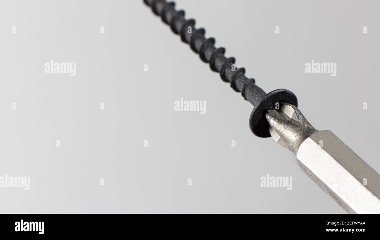 Self-cutters and screwdriver on a gray background with space for text. Screw with thread - fasteners for construction, tools and accessories repair Stock Photo