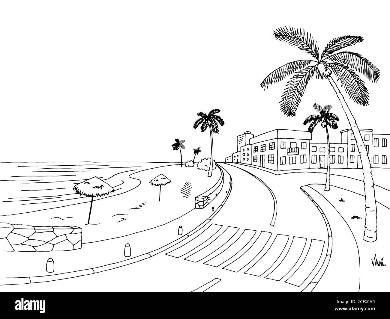 Street road palm tree graphic black white landscape sketch illustration vector Stock Vector