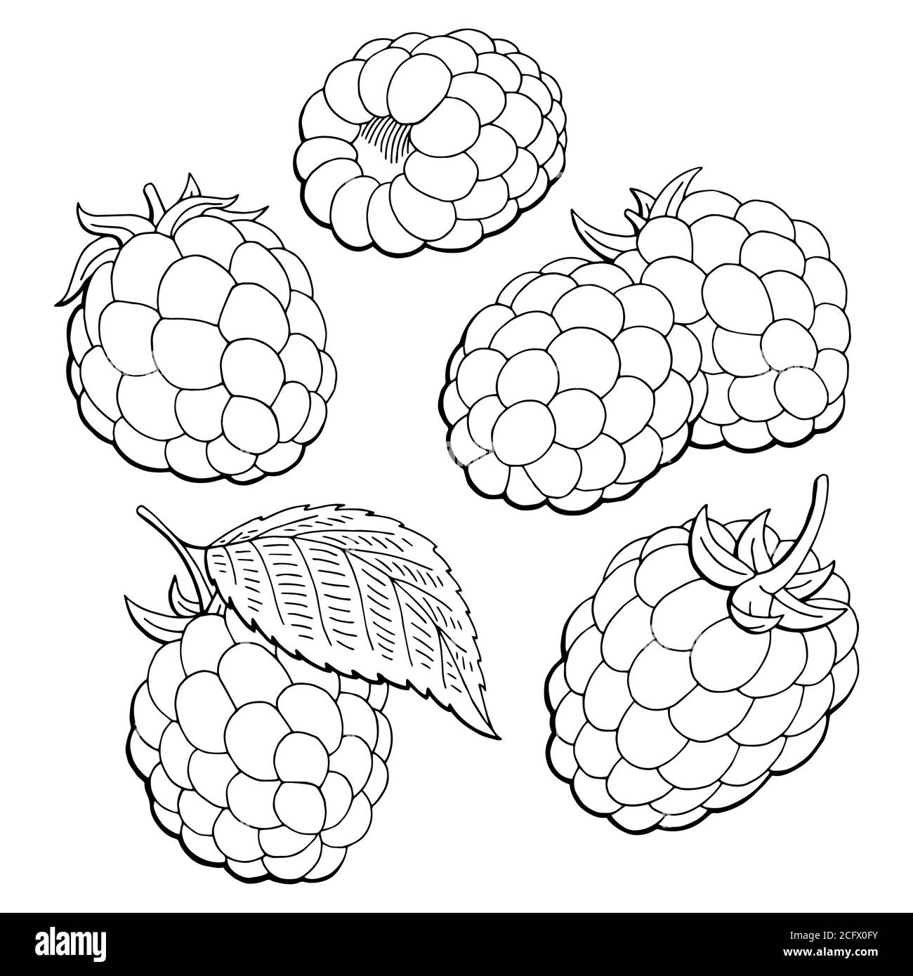 raspberry coloring page