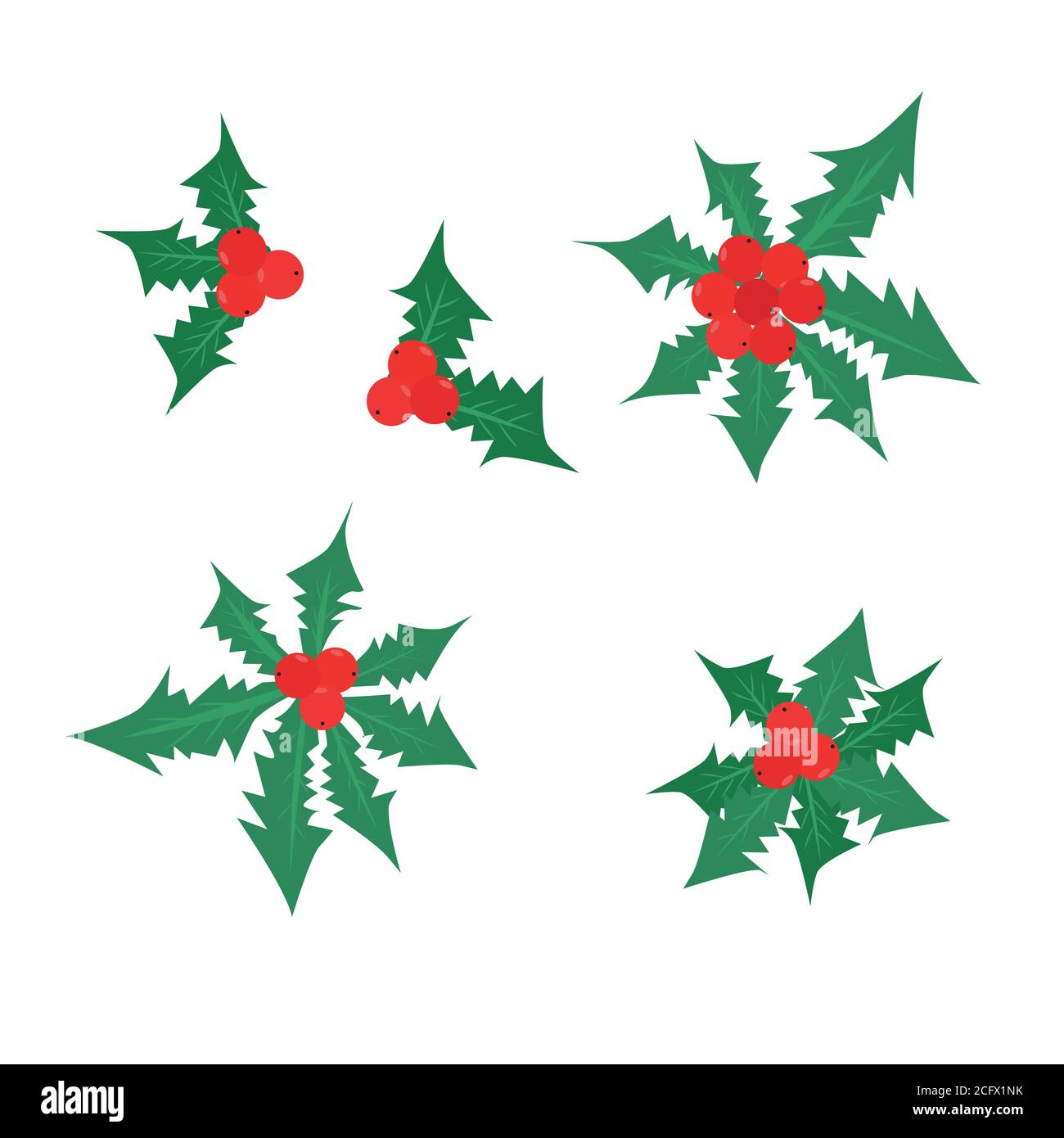 Twig of holly with berry and leaves. Vector illustration Stock Vector ...