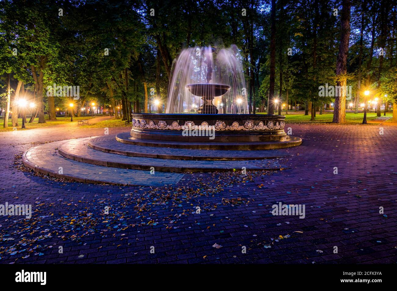 A fountain with blurred streams of water in a night park illuminated by ...