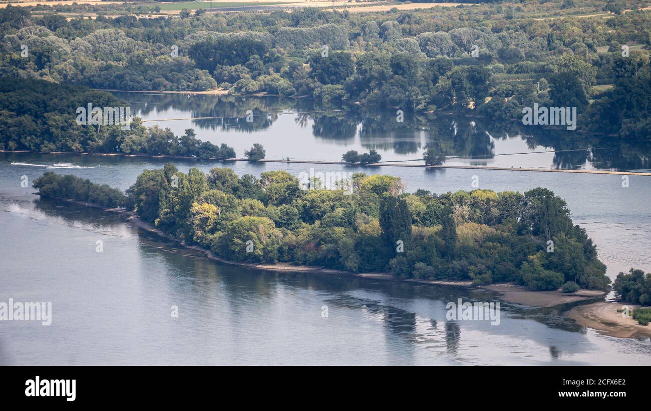 view on hillside vineyards along the Rhine River and the fulder aue island in the rhine near ruedesheim, germany Stock Photo