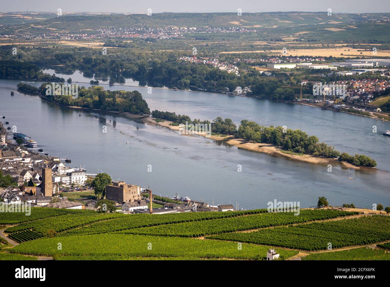 view on hillside vineyards along the Rhine River and the fulder aue island in the rhine near ruedesheim, germany Stock Photo