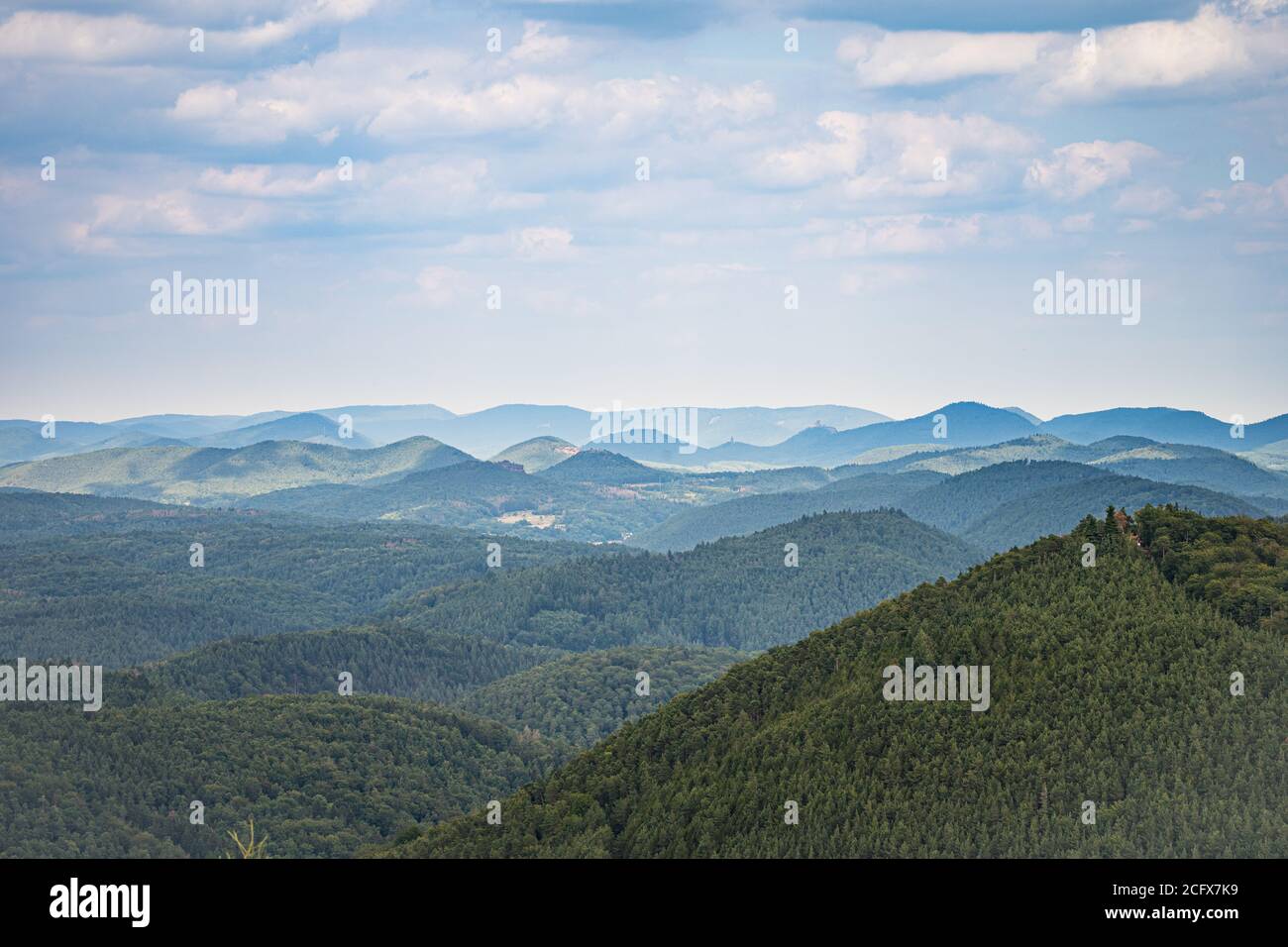 beatiful landscape of the pfälzer wald wood hills, rheinland-pfalz, germany Stock Photo