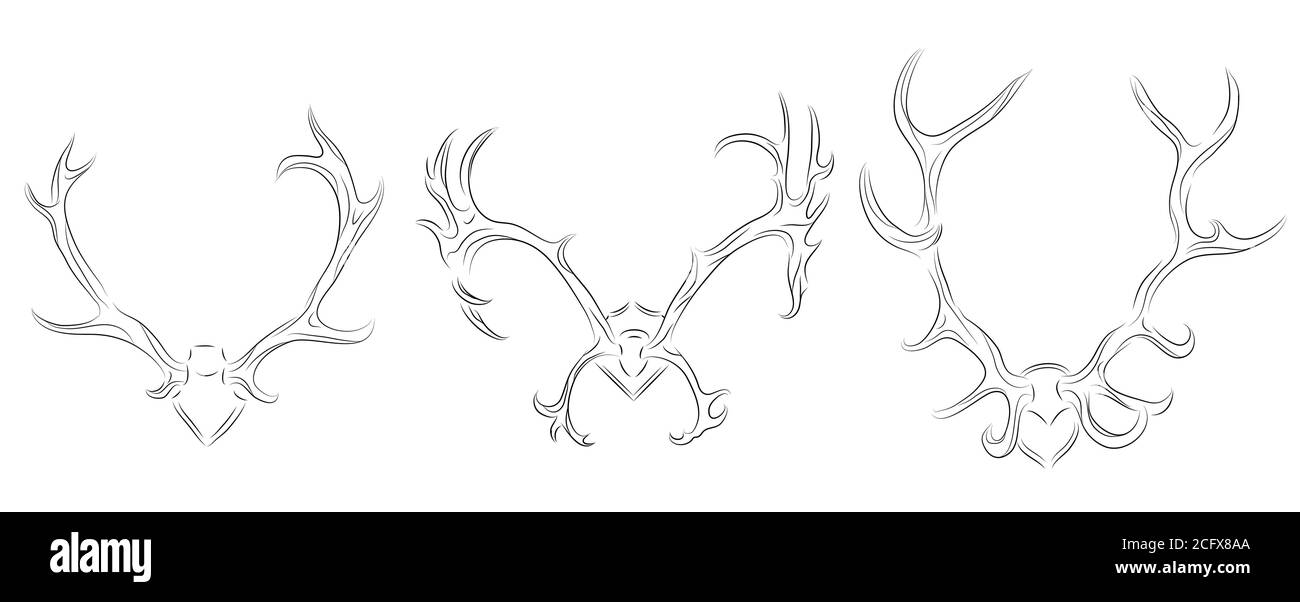 Set of contour drawing of different deer antlers. Vector element for