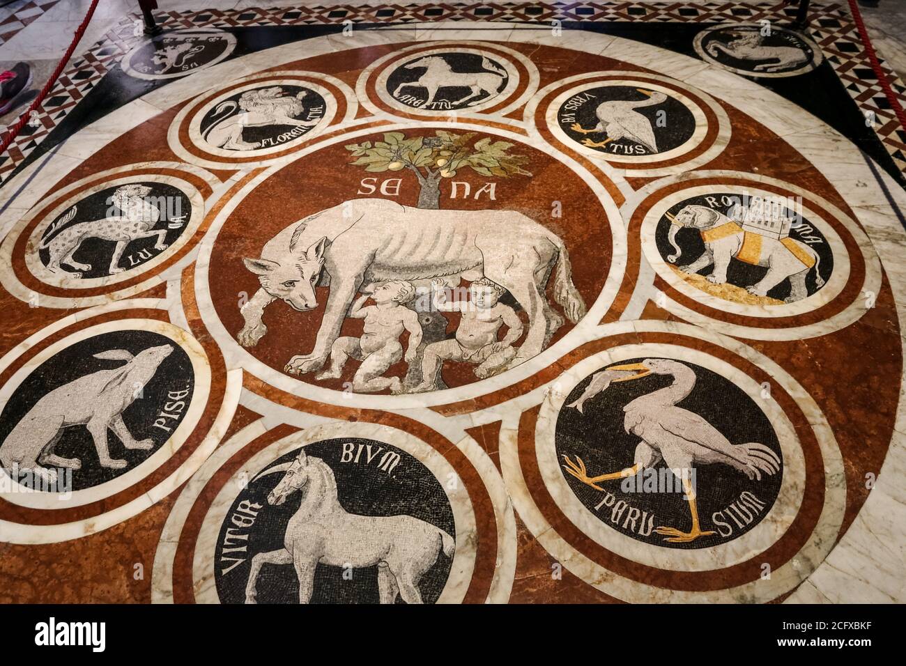 Marvelous close-up view of the inlaid marble mosaic floor of the Duomo di Siena depicting the She-Wolf of Siena with the emblems of the confederate... Stock Photo