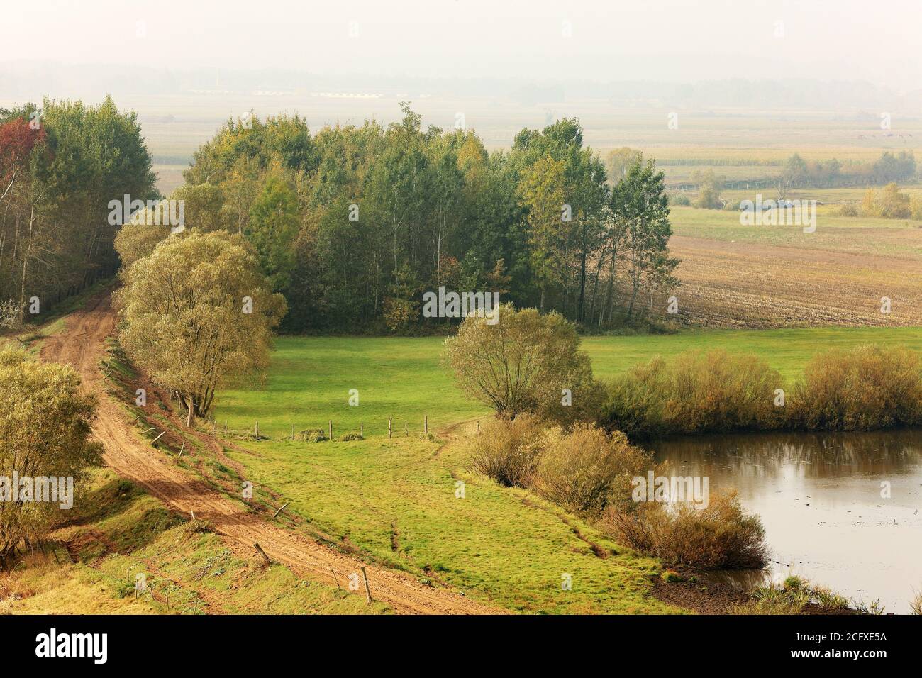 Narew Podlasie Hi res Stock Photography And Images Alamy narew-podlasie-hi-res-stock-photography-and-images-alamy