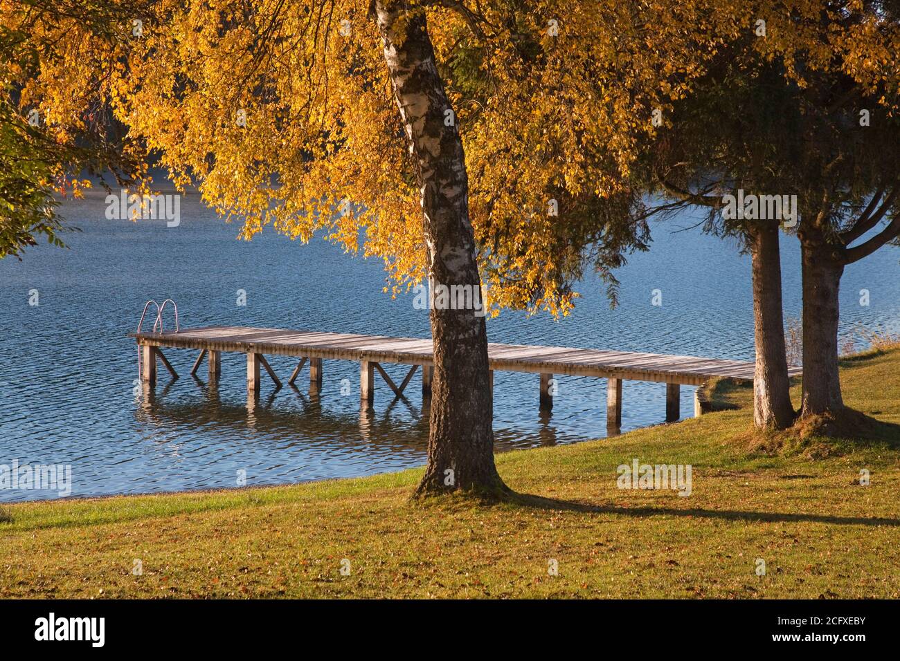 geography / travel, Germany, Bavaria, autumn on the Forggensee, Allgaeu, Alpine Foothills, Swabia, Eas, Additional-Rights-Clearance-Info-Not-Available Stock Photo