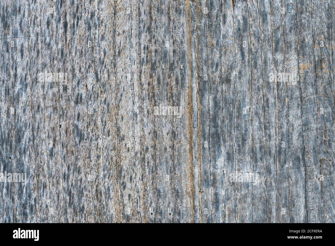 Wood texture background. Surface of old knotted wood with nature color, texture and pattern. Stock Photo