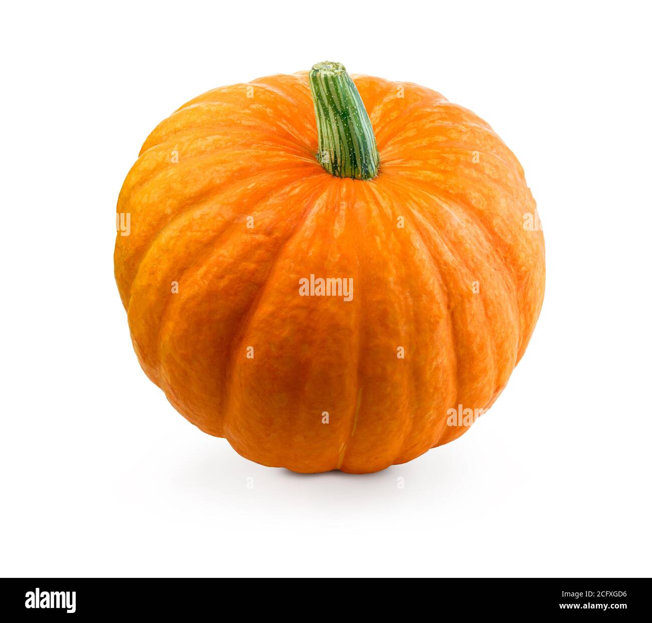 Fresh pumpkin isolated Stock Photo