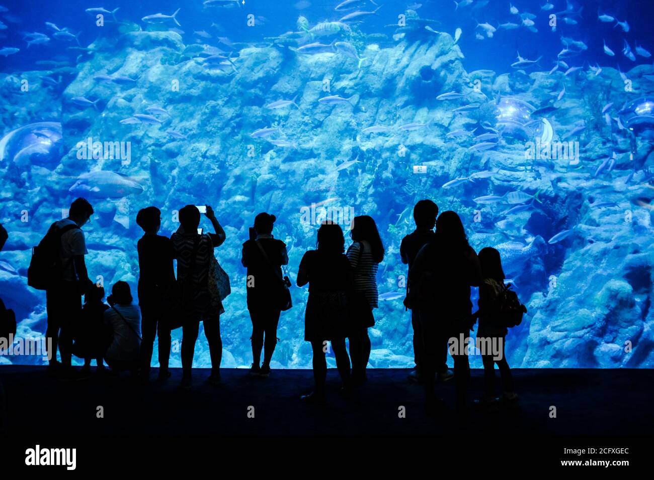 Hong Kong Ocean Park High Resolution Stock Photography and Images - Alamy