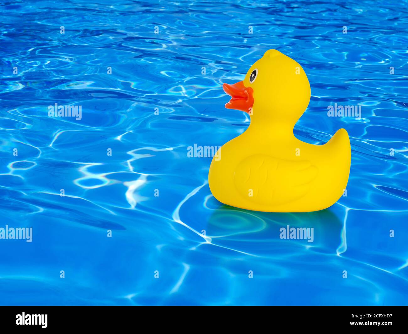 Rubber duck on water Stock Photo - Alamy
