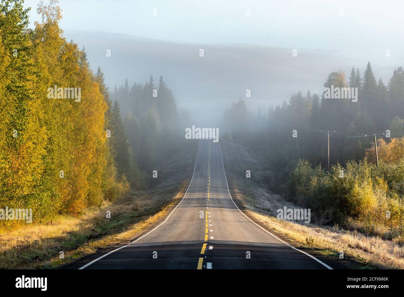 Highway in beautiful autumn forest in rural Finland Stock Photo