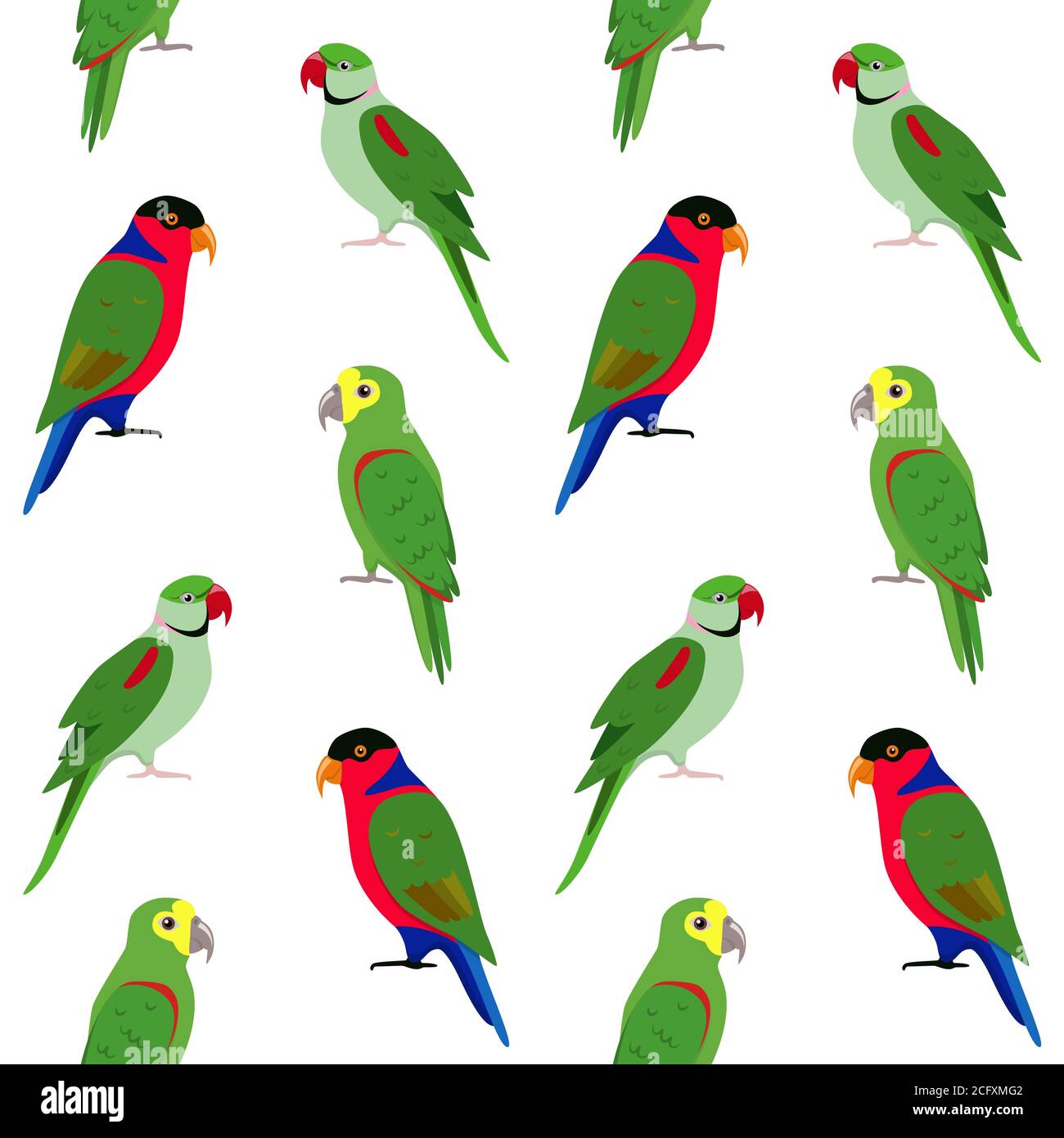 Seamless pattern with bright parrots. Repeating background with tropical  birds Stock Vector Image & Art - Alamy