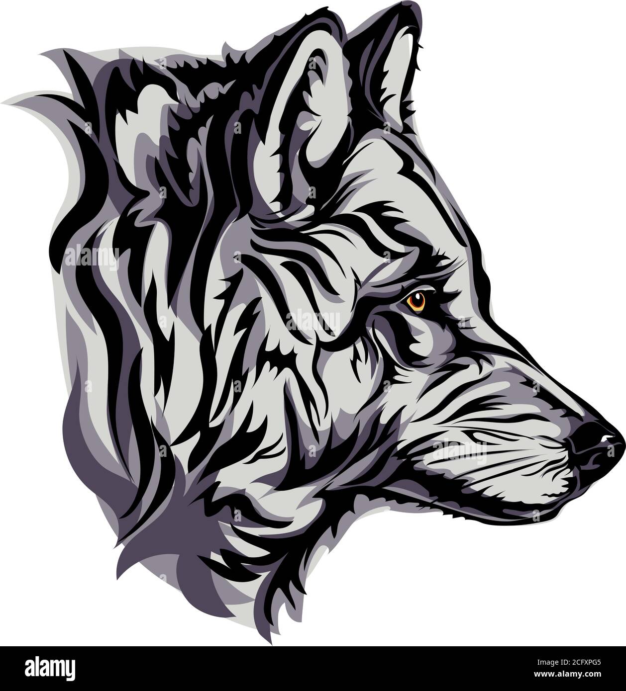 Wolf, portrait, white, black, color, vector, graphics, drawing, picture, stylization, image, isolated, illustration, drawing, picture Stock Vector