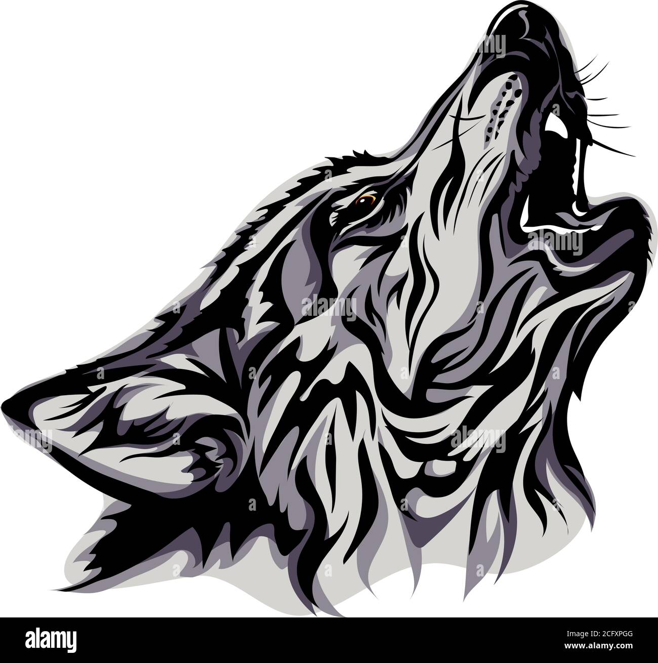 Wolf, portrait, white, black, color, vector, graphics, drawing, picture, stylization, image, isolated, illustration, drawing, picture Stock Vector