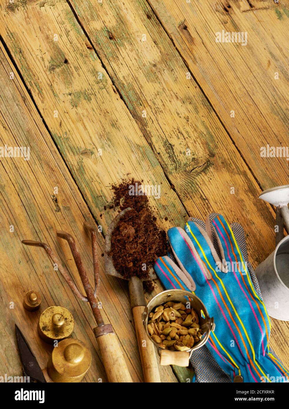 Gardening tools on wood with copy space Stock Photo