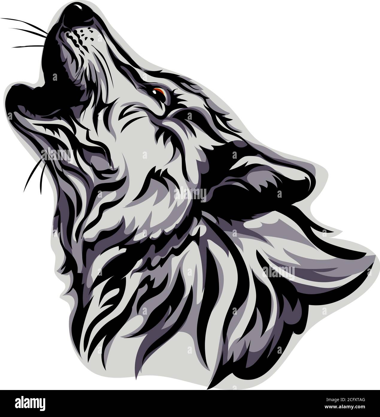 Wolf, portrait, white, black, color, vector, graphics, drawing, picture, stylization, image, isolated, illustration, drawing, picture Stock Vector