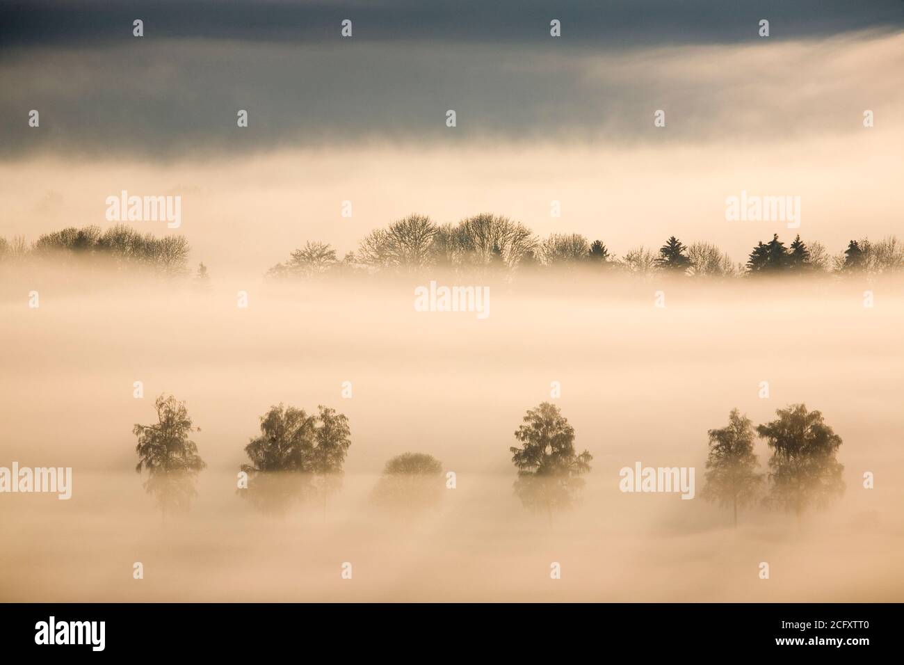 geography / travel, Germany, Bavaria, Grossweil, foggy landscape, Kochelseemoos, Grossweil, Werdenfels, Additional-Rights-Clearance-Info-Not-Available Stock Photo