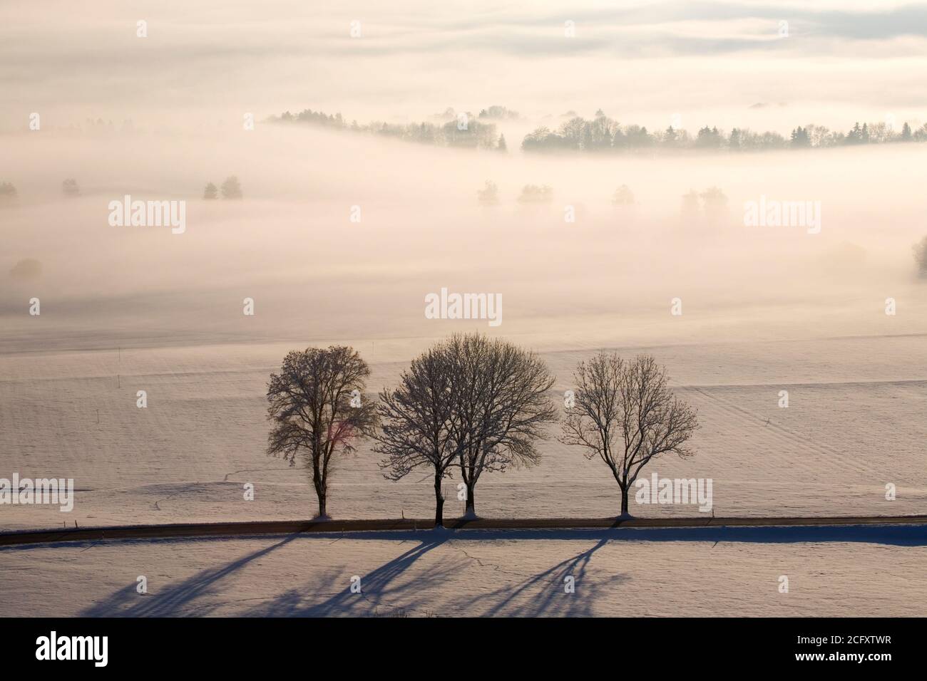 geography / travel, Germany, Bavaria, Grossweil, foggy landscape, Grossweil, Werdenfelser Land (Werden, Additional-Rights-Clearance-Info-Not-Available Stock Photo