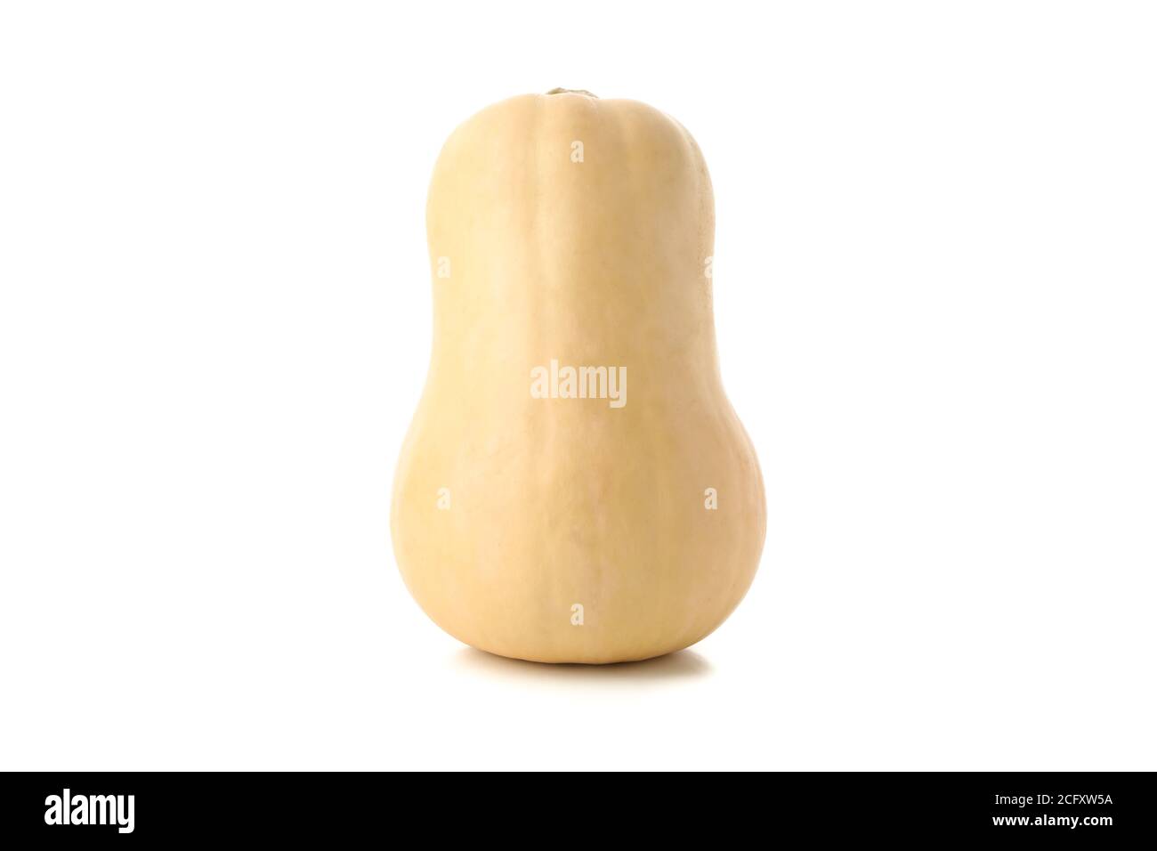 Fresh butternut squash isolated on white background Stock Photo