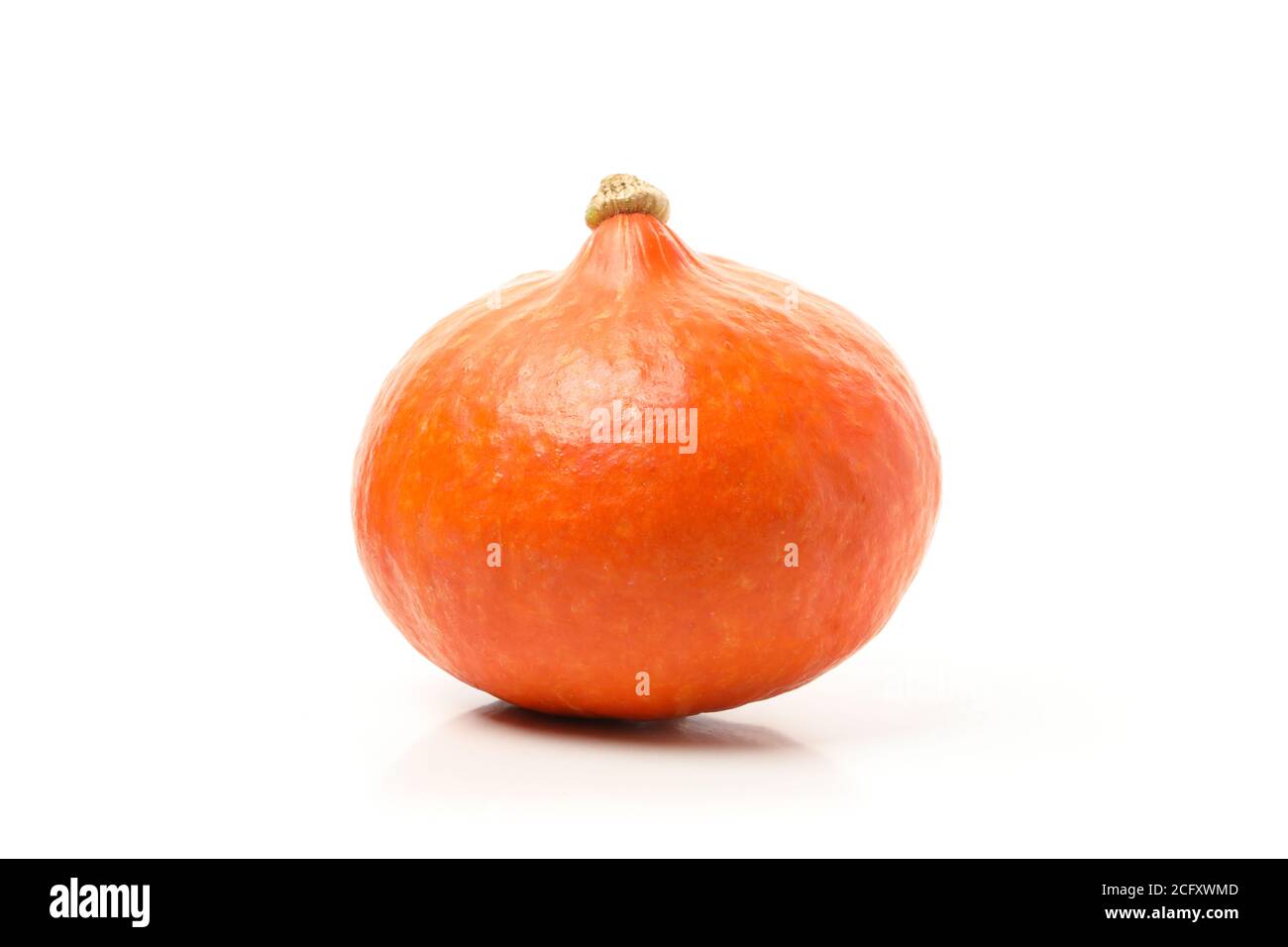 One orange pumpkin isolated on white background Stock Photo - Alamy