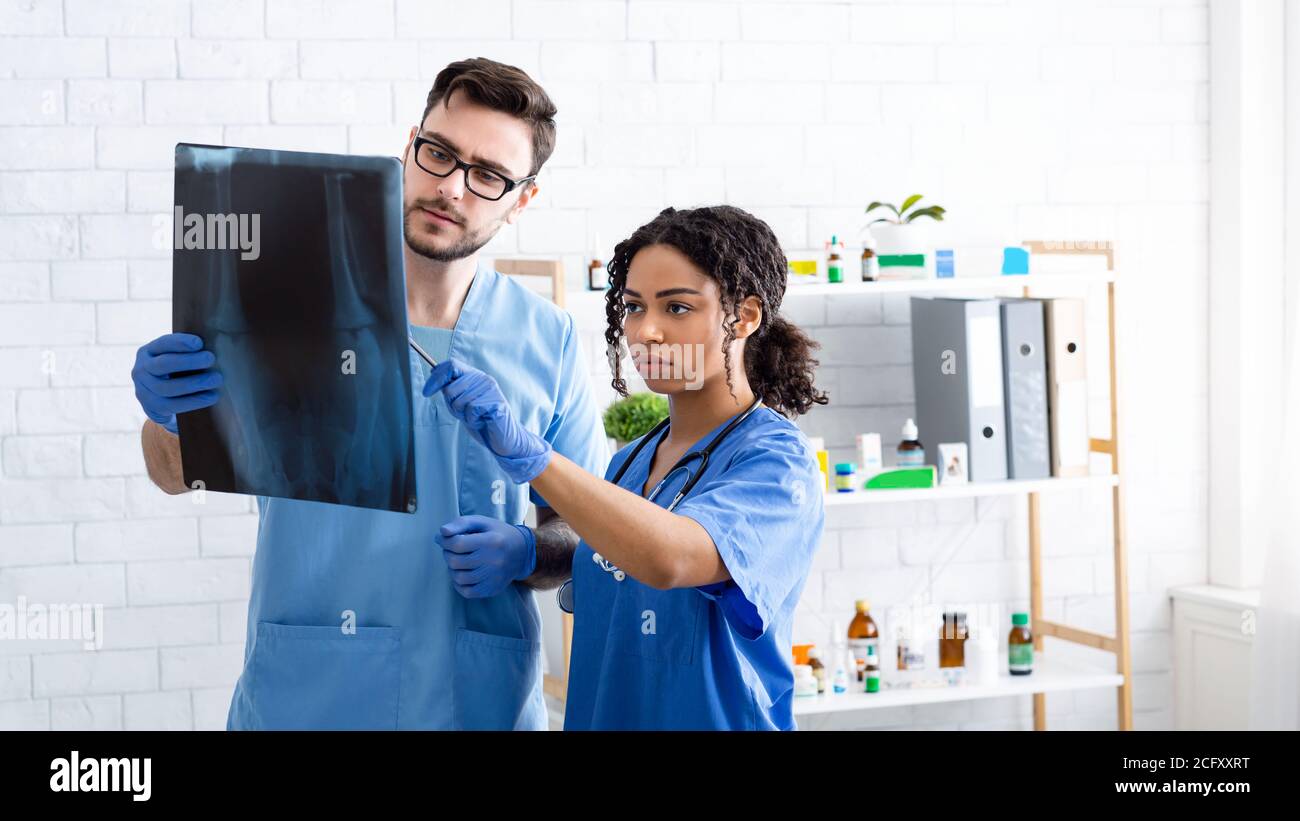 Veterinary radiology. Vet doctor with nurse examining animal xray at