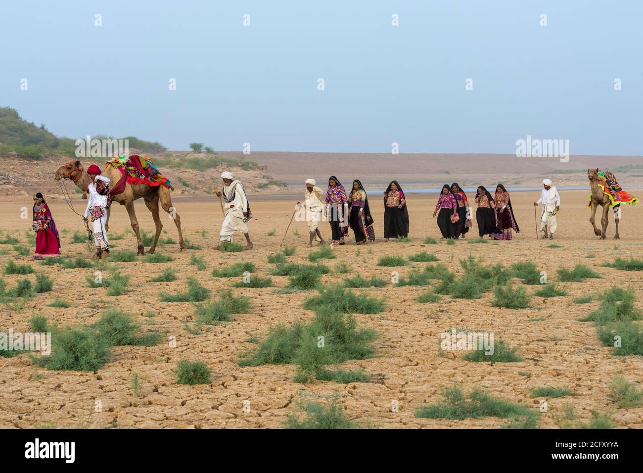 Rabari tribe people walking in the desert with a dromedary, Great Rann of Kutch Desert, Gujarat, India Stock Photo