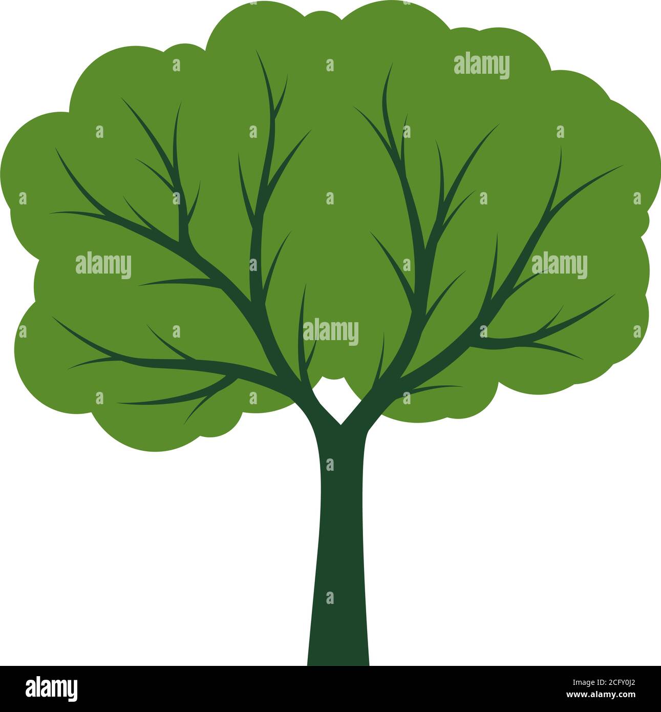 Green vector Tree isolated on white background Stock Vector Image & Art ...