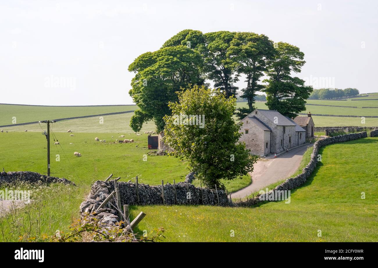 A traditional stone built farmhouse encircled by trees and stone-walling close to the Derbyshire village of Hartington Stock Photo