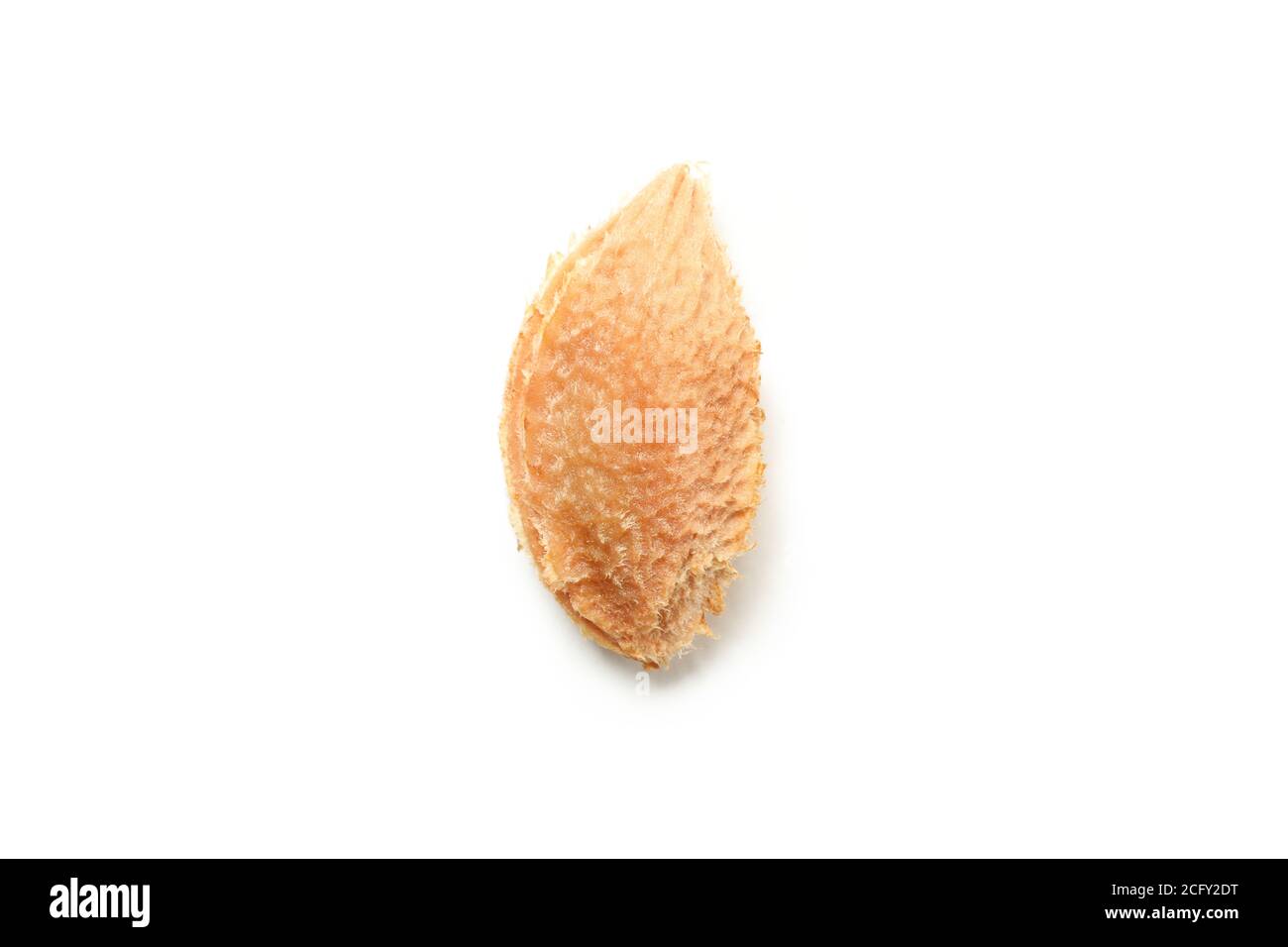 One plum stone isolated on white background Stock Photo