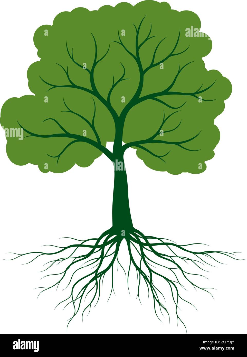 Green vector Tree isolated on white background Stock Vector Image & Art ...