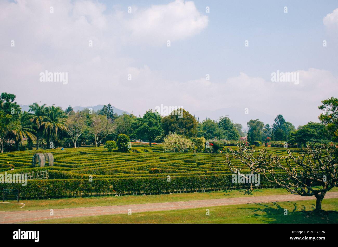 Bogor, Indonesia - A view of the flower themed park Taman Bunga Nusantara in a cloudy afternoon with a view to a labyrinth field with people walking a Stock Photo