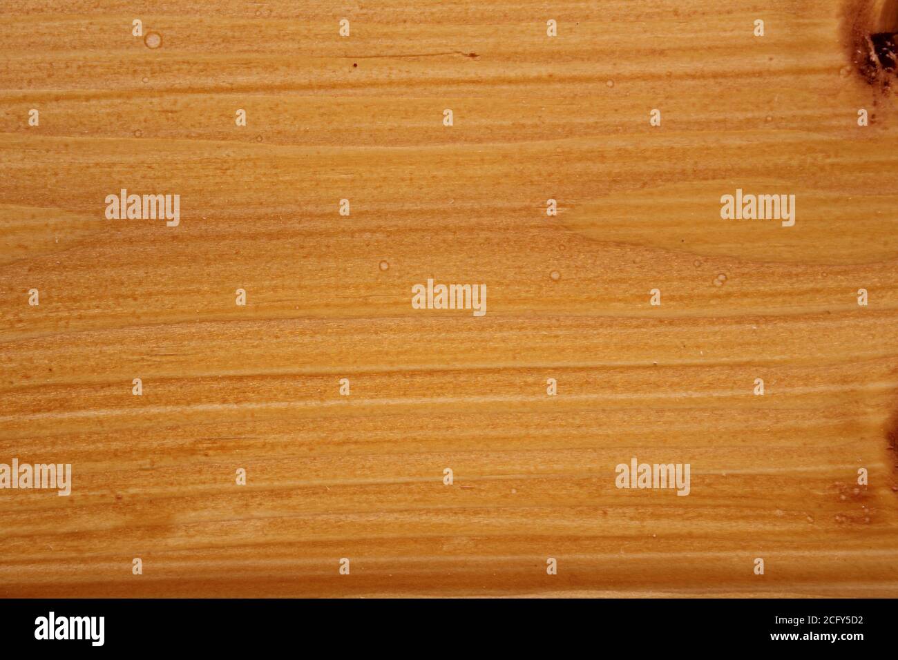 horizontal wood structure of an oak plank Stock Photo