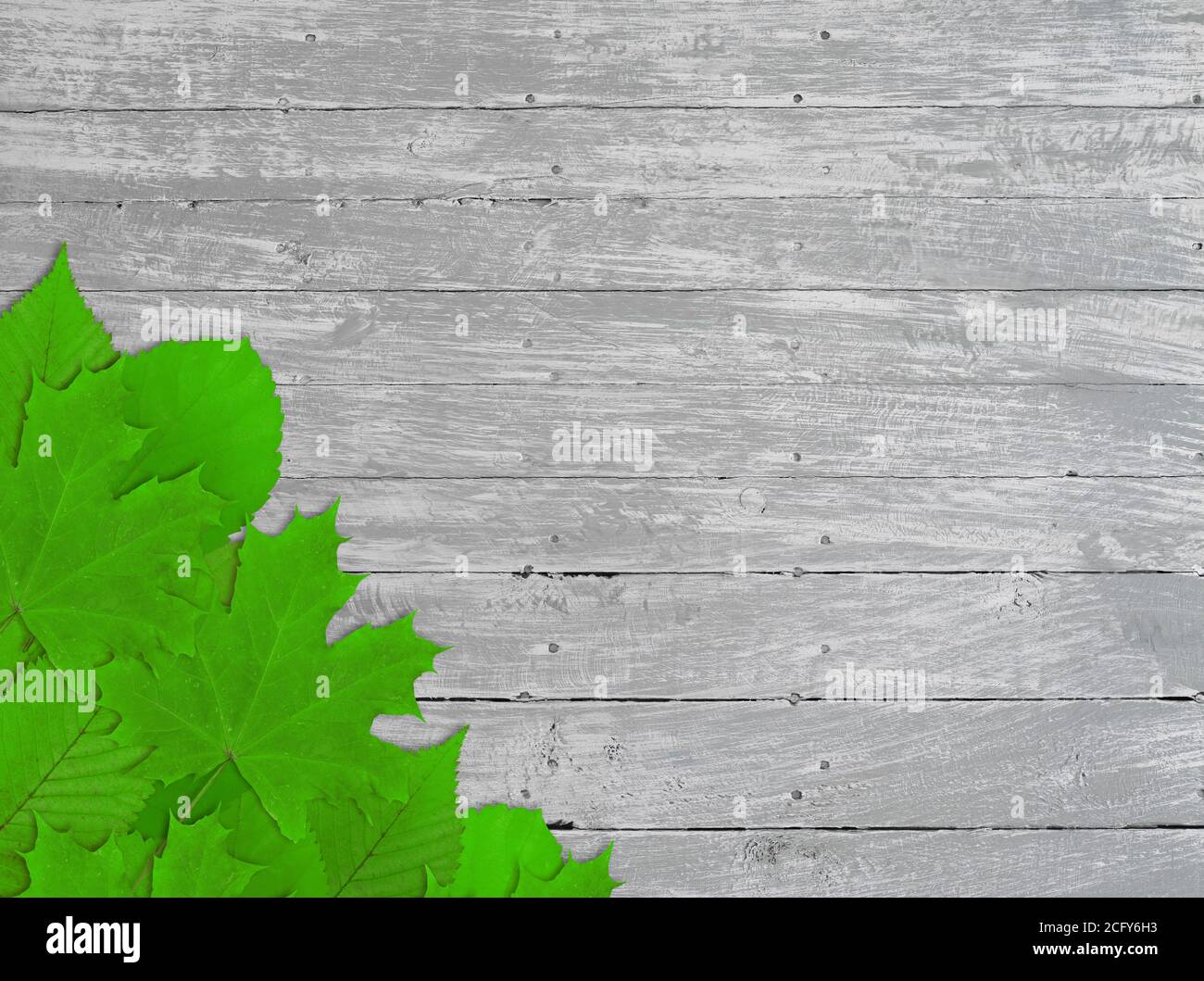 Leaves on wood hi-res stock photography and images - Alamy