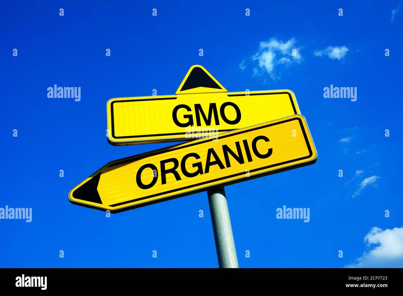 GMO or Organic - Traffic sign with two options - agricultural progress vs danger of genetically modified organism to health Stock Photo