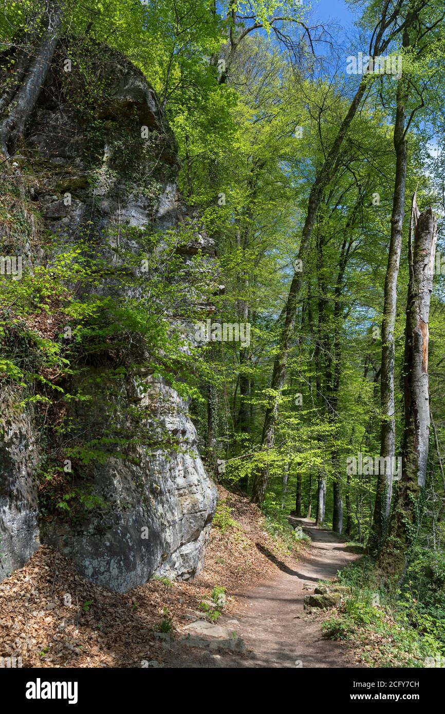 Mullerthal Trail Luxembourg High Resolution Stock Photography And Images Alamy