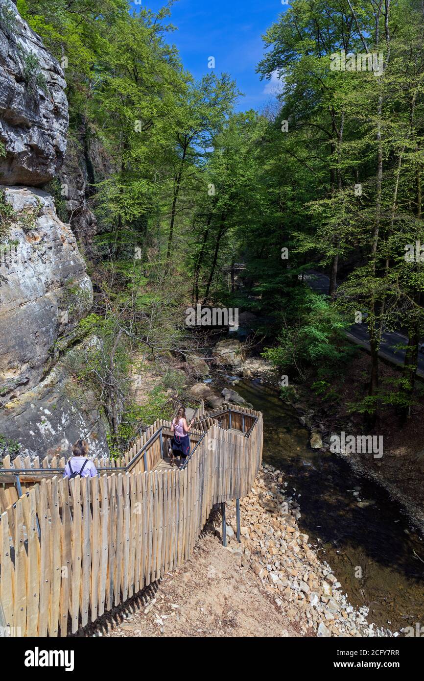 Europe, Luxembourg, Grevenmacher, Mullerthal Trail with steps close to the Schiessentumpel Waterfall Stock Photo