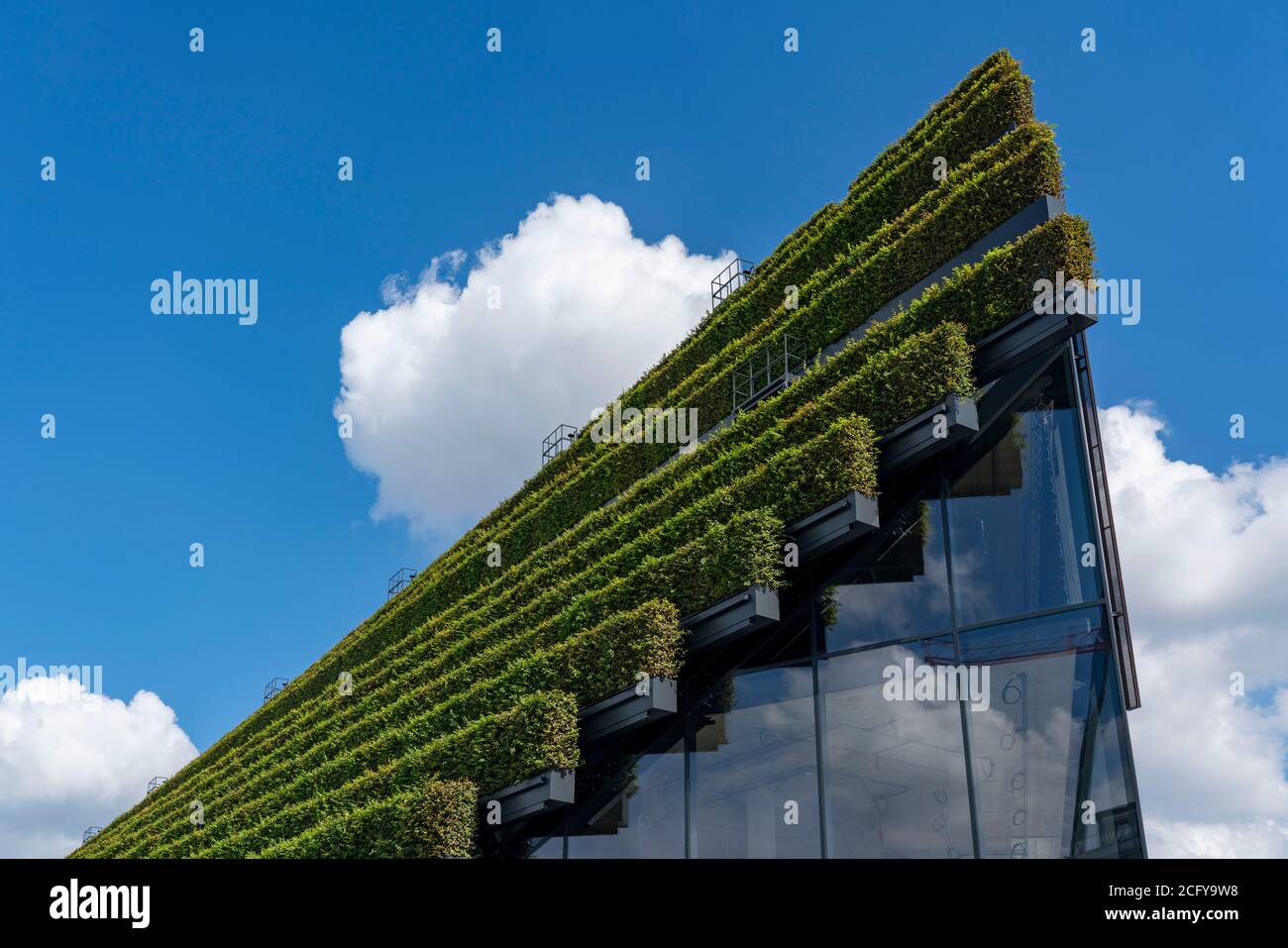 Largest green façade in Europe, on Kö-Bogen II, building, shopping and office building on Gustav-Gründgens-Platz, 8 kilometers of hornbeam hedges were Stock Photo