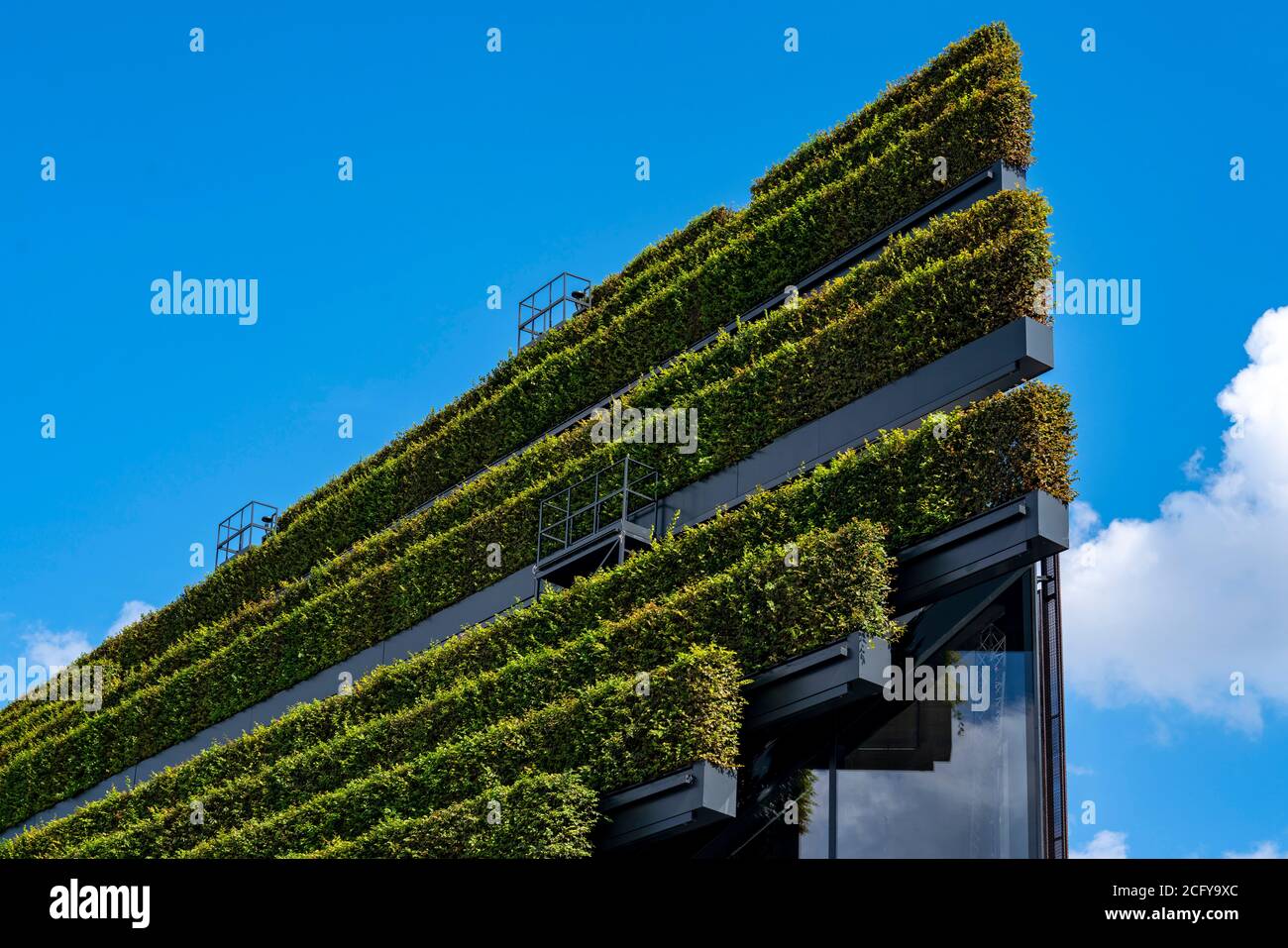 Largest green façade in Europe, on Kö-Bogen II, building, shopping and office building on Gustav-Gründgens-Platz, 8 kilometers of hornbeam hedges were Stock Photo